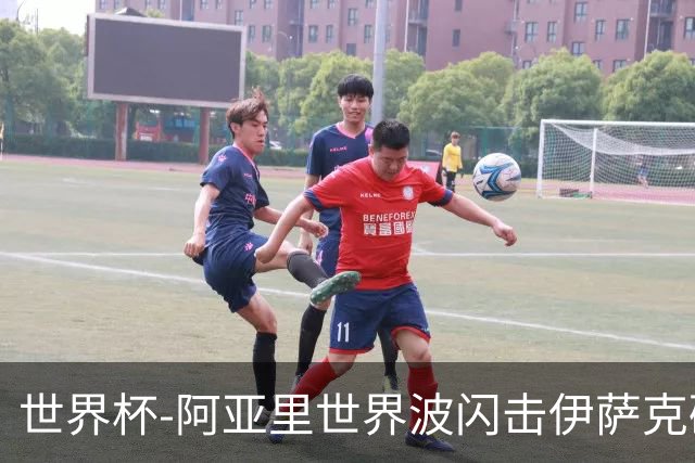 世界杯-阿亚里世界波闪击伊萨克破门 半场瑞典2-1突尼斯